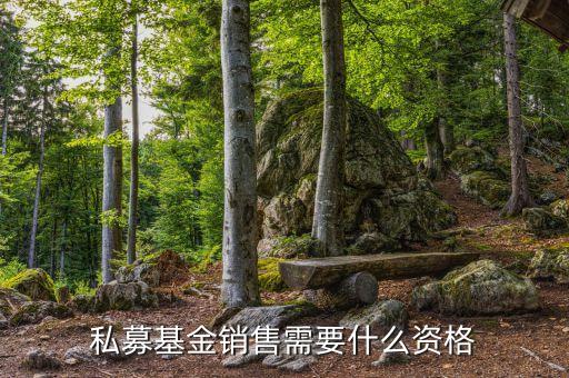 銷售基金需要什么資質(zhì)，財富公司銷售金融產(chǎn)品需要什么牌照或者資質(zhì)