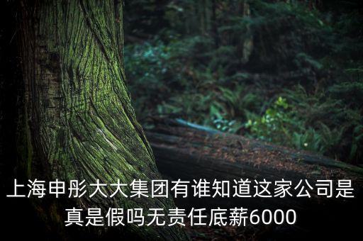 申彤大大集團(tuán)賺的什么錢發(fā)工資，上海申彤大大集團(tuán)有誰知道這家公司是真是假嗎無責(zé)任底薪6000