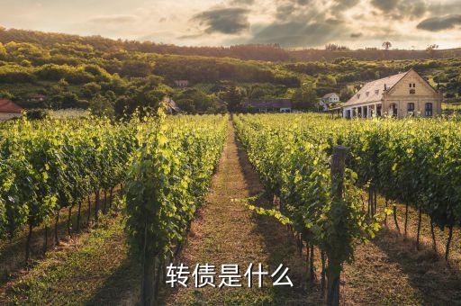 浙能轉(zhuǎn)債是什么，浙能電力轉(zhuǎn)債贖回兌付摘牌是利好還是利空