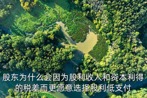 為什么發(fā)放股票股利會(huì)資本利得稅，股東為什么會(huì)因?yàn)楣衫杖牒唾Y本利得的稅差而更愿意選擇股利低支付