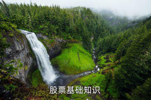 為什么要?dú)⑷谫Y盤，什么是垃圾股