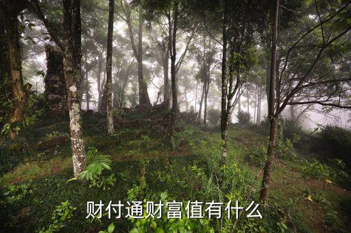 財(cái)付通財(cái)富值是什么，財(cái)付通財(cái)富值什么意思