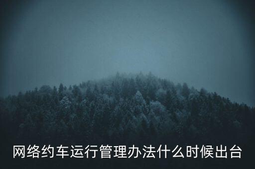 出租車改革什么時(shí)候公布，國(guó)家對(duì)出租車有什么政策改革方案