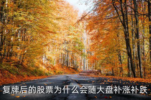 股票復(fù)牌為什么會(huì)補(bǔ)跌，復(fù)牌后的股票為什么會(huì)隨大盤補(bǔ)漲補(bǔ)跌