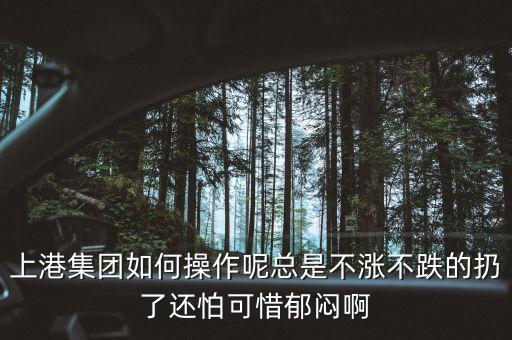 上港集團什么級別，上港集團振東集裝箱碼頭分公司的介紹