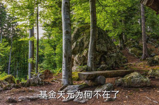 基金天元為什么停牌，基金天元為何不在了