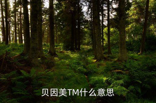 貝因美尾盤(pán)1多手什么意思，貝因美TM什么意思