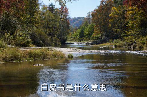 產(chǎn)品白皮書是什么意思，產(chǎn)品白皮書的文檔意義