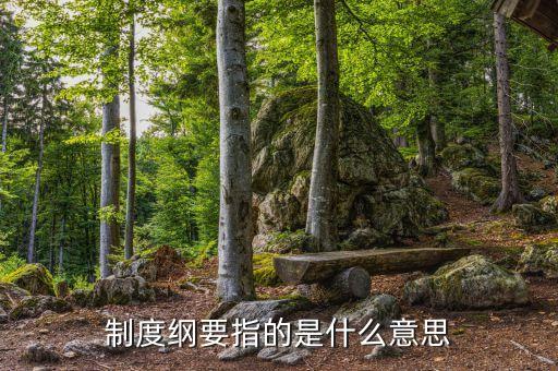 什么是公司綱要，制度綱要指的是什么意思