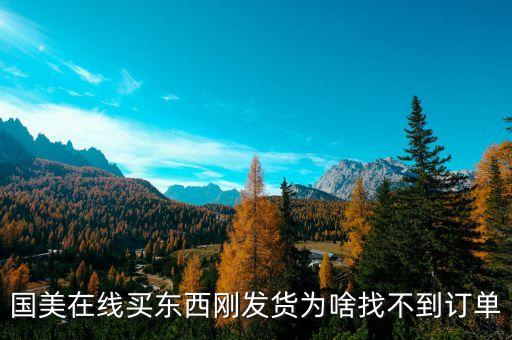 國(guó)美待發(fā)貨為什么查不到訂單，國(guó)美 已付款為何沒(méi)有顯示定單