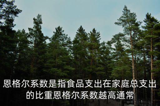 什么是恩格爾系數(shù)法，什么是恩戈爾系數(shù)