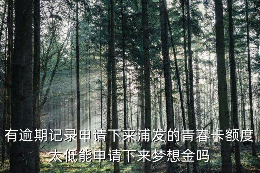 為什么青春卡夢想金要等一個月，浦發(fā)信用卡青春卡的夢想金是開卡就可以申請的還是等一個月