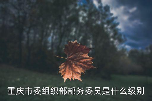 什么是祖代雞，重慶市委組織部部務委員是什么級別