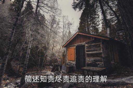 什么是追責，簡述知責盡責追責的理解