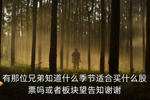 秋天什么股，秋季什么板塊股票好