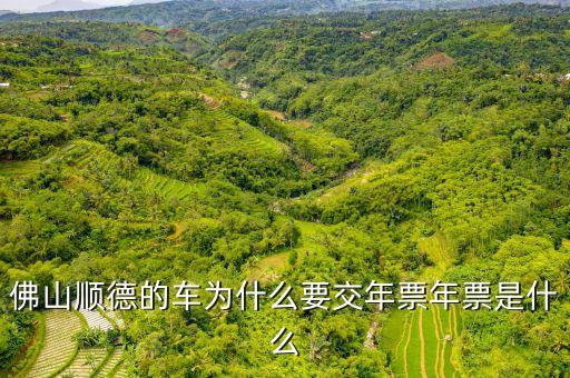 佛山順德的車(chē)為什么要交年票年票是什么