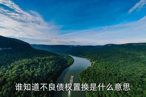 什么是不良資產(chǎn)置換，誰知道不良債權(quán)置換是什么意思