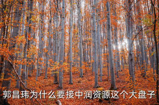 中潤資源為什么停牌，000506中潤資源停牌多久可以復(fù)牌