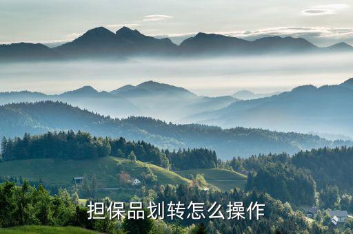 擔(dān)保品轉(zhuǎn)入是什么，融資融卷中的擔(dān)保品劃轉(zhuǎn)是什么意思