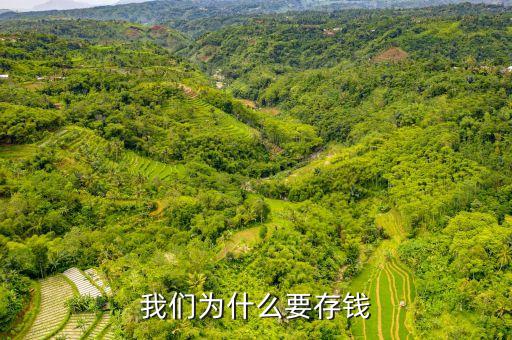 存錢有什么理由，我們?yōu)槭裁匆驽X