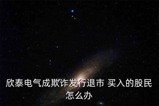 欣泰電氣成立什么公司，丹東欣泰電氣股份有限公司