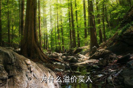 溢價買入是什么意思，溢價是什么意思