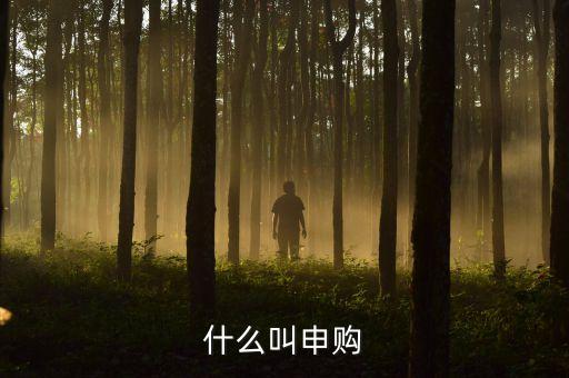 打新申購什么意思，什么叫申購