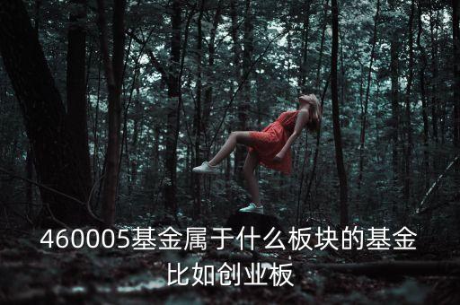 富國(guó)天益價(jià)值重倉(cāng)什么板塊，460005基金屬于什么板塊的基金比如創(chuàng)業(yè)板