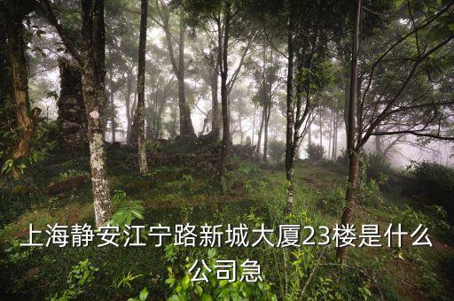 上海眾城大廈第23層是什么，上海浦東新區(qū)東方路818號(hào)眾城大廈1604室是什么公司啊