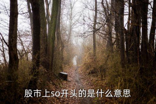 so股票什么意思，股市上so開頭的是什么意思