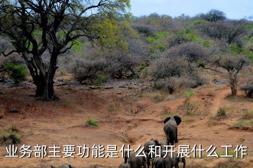機構(gòu)業(yè)務部是做什么，業(yè)務部是什么意思