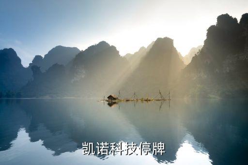 凱樂科技為什么停牌，002399今天為什么停牌