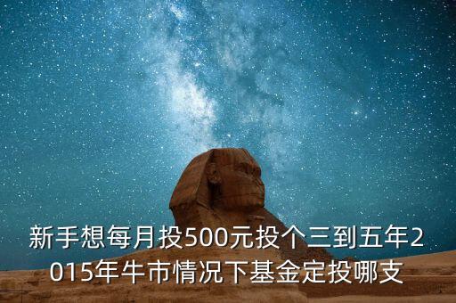 2015年新手買什么基金好，2015買什么基金比較好