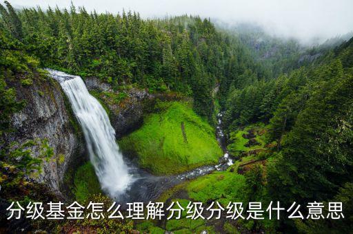 分級b基金什么意思，貨幣市場基金ab級各指什么含義