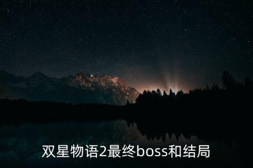 雙星汪海干什么去了，雙星 董事長