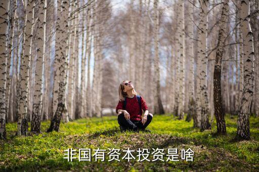 什么是非公有資本，何謂非公有企業(yè)