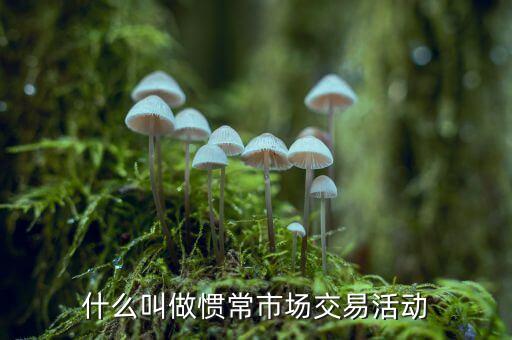 什么是習(xí)慣交易，什么叫做慣常市場(chǎng)交易活動(dòng)