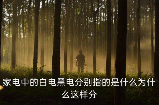 三星白電是什么意思，家電中的白電黑電分別指的是什么為什么這樣分