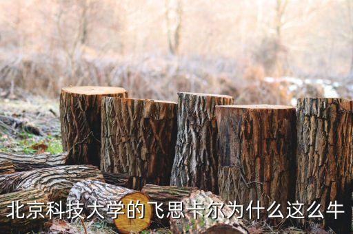 飛思卡爾為什么虧損，飛思卡爾單片機為什么這么難用比其它廠的都難用有同感嗎  搜