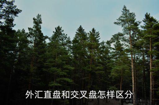 什么叫交叉盤，什么叫交叉盤hg0088誰能跟我指點一下嗎