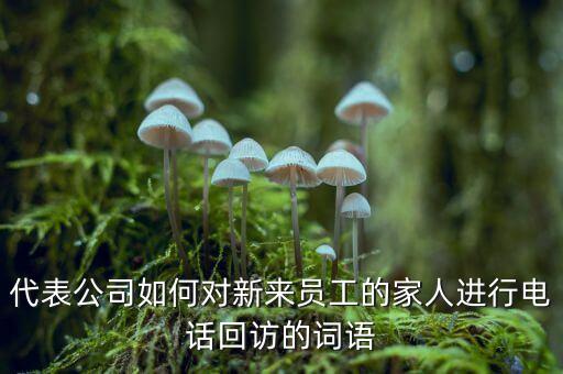 代表公司如何對(duì)新來員工的家人進(jìn)行電話回訪的詞語(yǔ)
