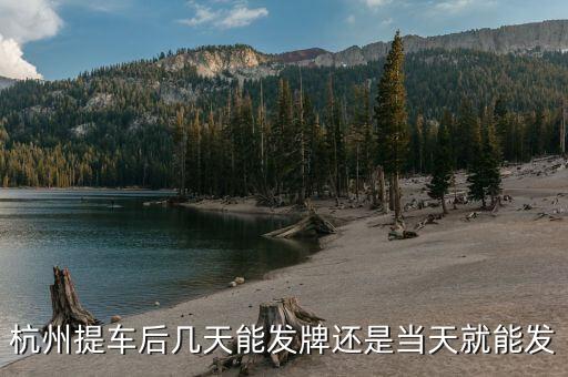 杭州車牌什么時候發(fā)放，杭州車牌拍好多久拿到