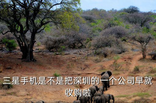 碩貝德什么時候收購深圳璇瑰，深圳哪里有收購書畫的