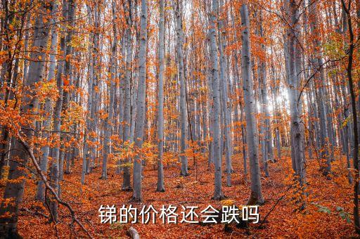 銻價(jià)上漲靠什么，銻的價(jià)格還會(huì)跌嗎