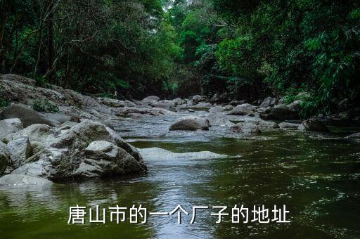 同方國(guó)芯的總部為什么在玉田縣，唐山市的一個(gè)廠子的地址
