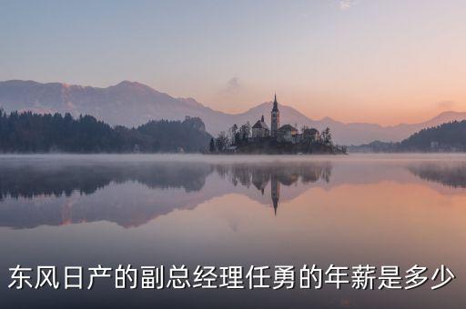任勇為什么不是東風(fēng)公司副總，東風(fēng)日產(chǎn)任勇總經(jīng)理