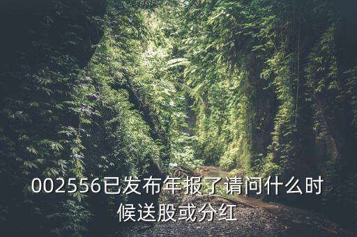 深圳能源什么時候送股，深圳能源什么時候送股