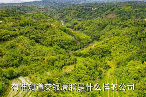 交銀康聯(lián)是什么公司，有誰(shuí)知道交銀康聯(lián)是什么樣的公司