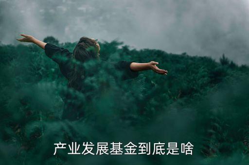 什么是產(chǎn)業(yè)基金，產(chǎn)業(yè)發(fā)展基金到底是啥
