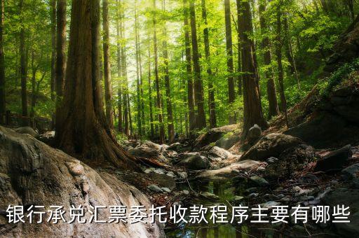 銀行托付需要什么手續(xù)，銀行卡托付需要什么手續(xù)